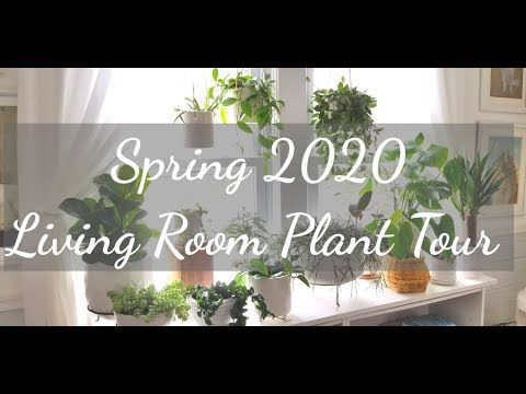 Spring 2020 Living Room Plant Tour