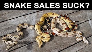 Fed Up With Selling Reptiles?