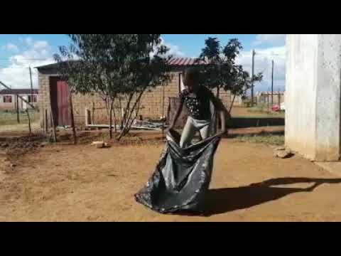 Ukuthwala started here.