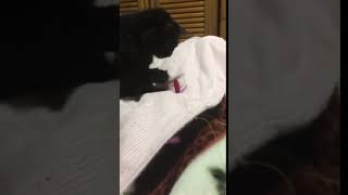 ね