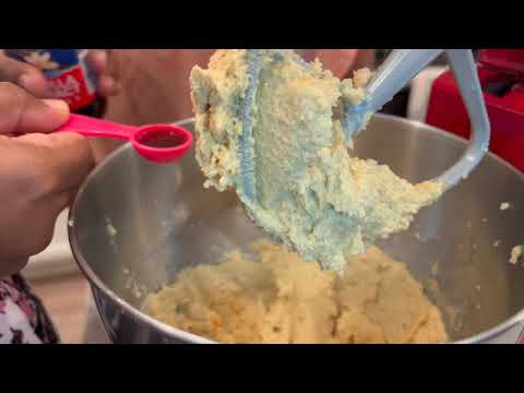 USA VLog / Bake with Pratiti / Choco chip cookie