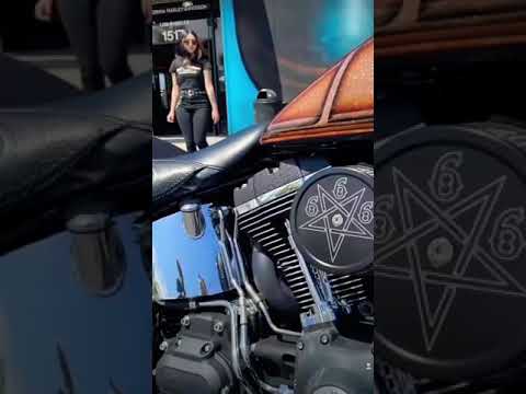 Harley Davidson Crazy Ape Hangers