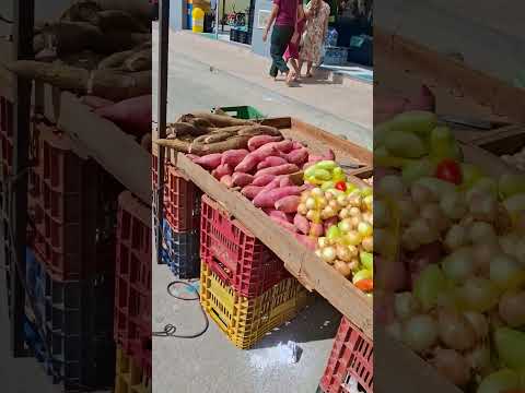 Feira da cidade de Palhano no Ceará