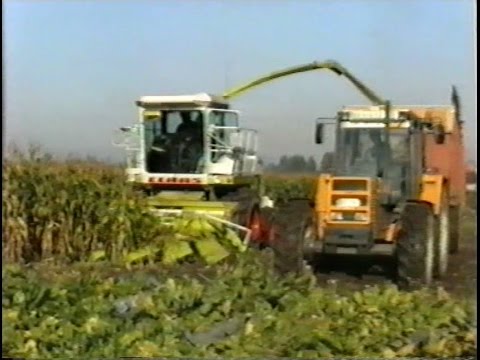 Loonw Ketels - Jabbeke - Claas Jaguar 690