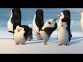 Penguins Of Madagascar FXX Promo