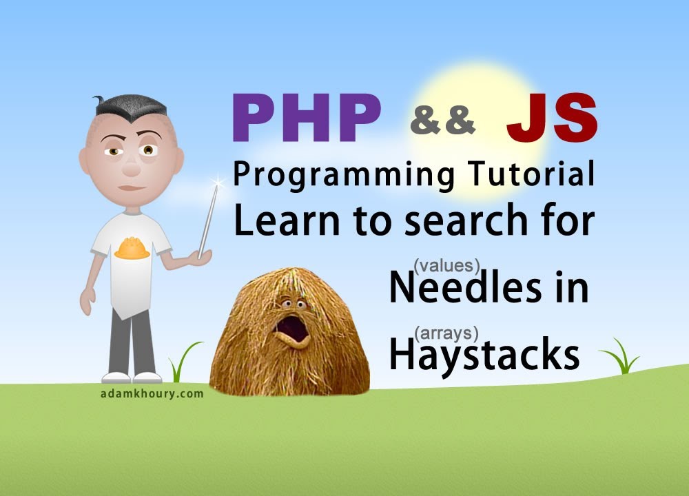 Check if Value Exists in Array PHP JavaScript Array Programming