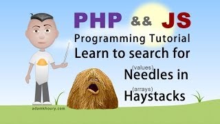 Check if Value Exists in Array PHP JavaScript Array Programming