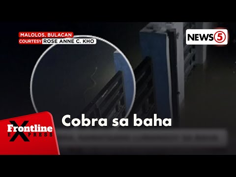 Cobra, namataang lumalangoy sa baha | Frontline Express