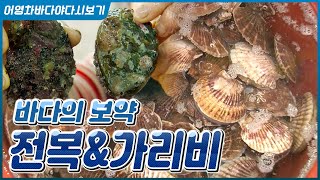 함경도에서는 밥대신 먹는 가리비, 보약같은 친구 전복 #밥조개 #전복 #자연산