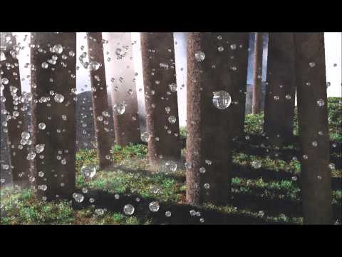 The Edge Of A Magical Forest