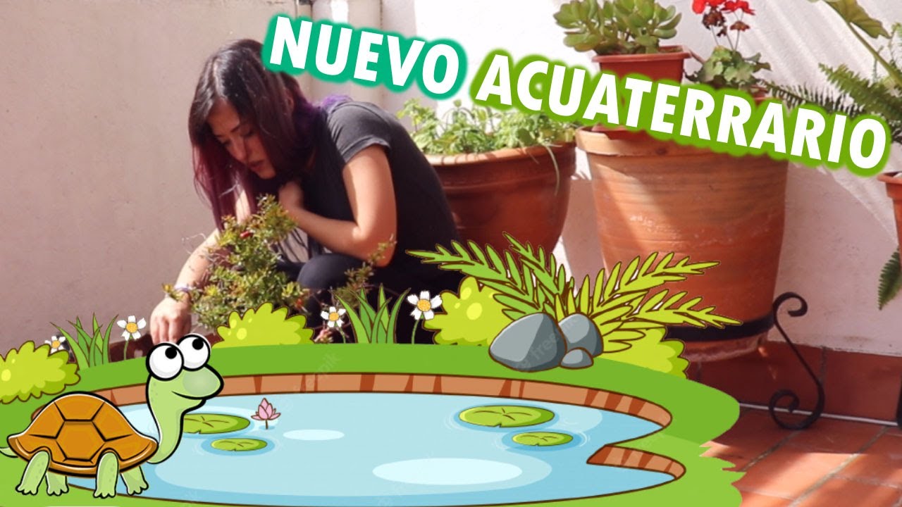 Watch ¡NUEVO ACUATERRARIO EXTERIOR! - Tortuga Now ¡NUEVO ACUATERRARIO EXTERIOR! - Tortuga