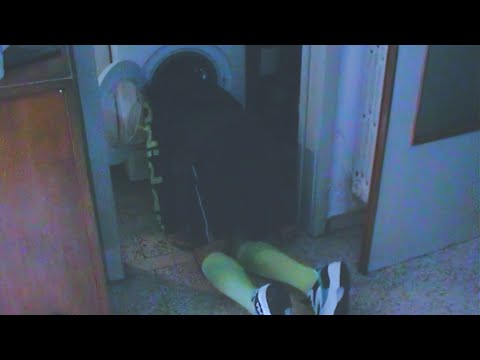 ultraviolet garden - emergence (177013)