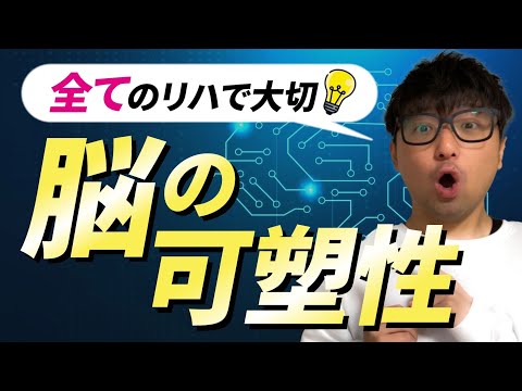 神経可塑性について詳しく解説