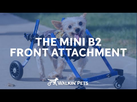 Přední nástavec Walkin' Wheels Mini B2 - instruktážní video