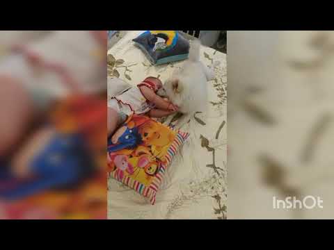 Rodica, cea mai buna dădaca 🥰