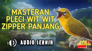 Download lagu PANCINGAN PLECI WIT WIT ZIPPER PANJANG || MASTERAN JERNIH || PLECI TEMBAKAN KASAR MATERI MEWAH ‼️ mp3 Download lagu PANCINGAN PLECI WIT WIT ZIPPER PANJANG || MASTERAN JERNIH || PLECI TEMBAKAN KASAR MATERI MEWAH ‼️ mp3