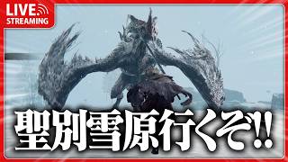 死にゲー1ミリも知らん奴が聖別雪原を目指して #24【 ELDEN RING 】