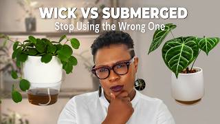 LECA Setups Compared: Wick vs. Submerged (Why I Don't Use Vases)