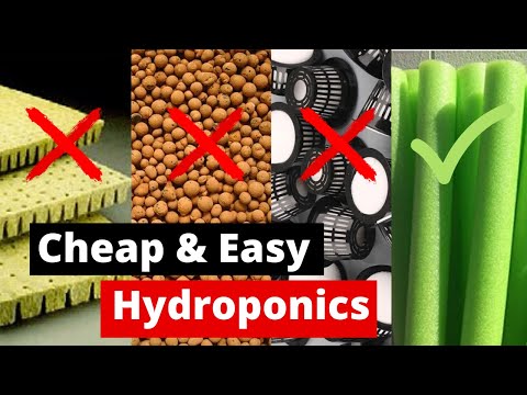 Cheap & Easy DIY Hydroponics | Ditch the expensive stuff for a $1 Pool Noodle