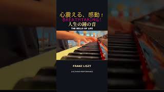 Download lagu ピアノから、鐘の音⁉️🔔 リスト「ラ・カンパネラ」|Liszt – La Campanella #Shorts mp3 Download lagu ピアノから、鐘の音⁉️🔔 リスト「ラ・カンパネラ」|Liszt – La Campanella #Shorts mp3