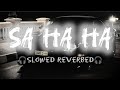 Brevis Sa Ha Ha Brazilian Phonk TikTok Remix Slowed Reverbed 𝐋𝐎𝐅𝐈 𝐒𝐎𝐍𝐆𝐒