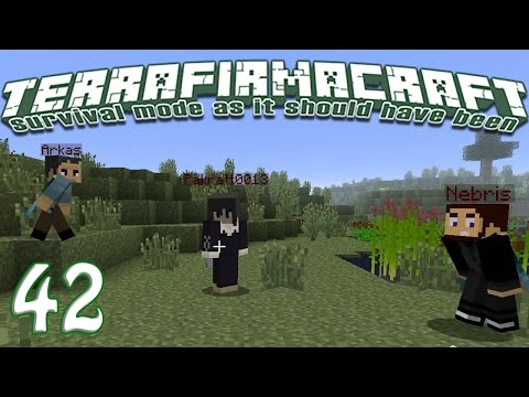 Terrafirmacraft Reloaded - E42 - Completely Redoing the Cellar (Minecraft)