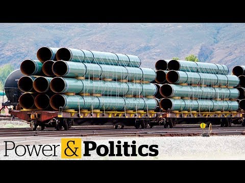 Federal cabinet to decide fate of Trans Mountain pipeline expansion | Power & Politics