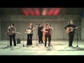 The Bluegrass Martins -   Foggy Mountain Top