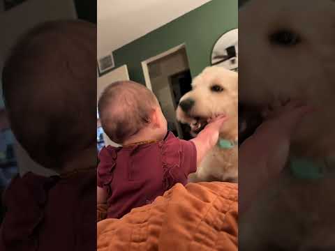 Juste deux bébés qui sont adorables ensemble ! 🤣