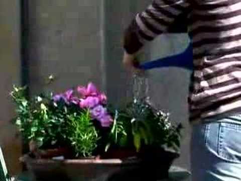 Still frame from Bienvenido a la república independiente de tu casa (IKEA Spain, 2006)