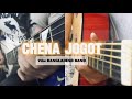 Chena Jogot - VIBE (Bangladesh Band) || Guitar Collaboration With 