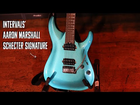 Schecter Aaron Marshall AM-7 - Macassar Ebony - Cobalt Slate - 7-String image 10