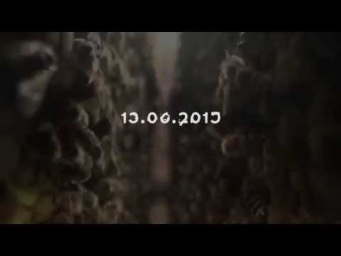 VERTIGO VIII - 13.06.2015 IFZ