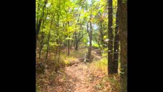 preview picture of video 'Lake Murray Fall Hike'