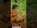 Tamil Melody Song Whatsapp
