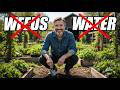 Start A Lazy Garden From Scratch NEVER Weed Water Again