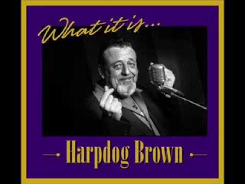 In my younger days - Harpdog Brown
