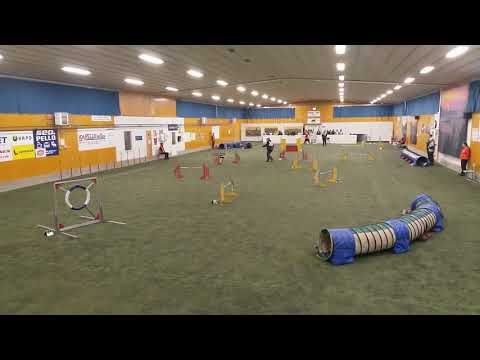 Vaisu Pello 28.10.2017, 0