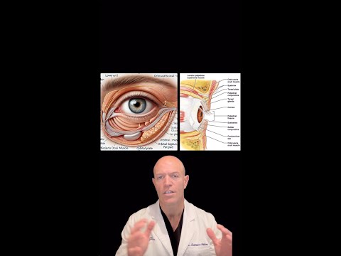 ✨ Eyelid Surgery (Blepharoplasty) Explained! Upper & Lower Lids: What You NEED to Know! 👀