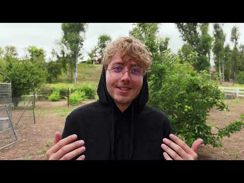 Road Trip Announcement