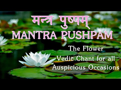 Mantra Pushpam | Yopaam Pushpam Veda | Vedic Chant offer flowers to God with devotion | Yajur Veda