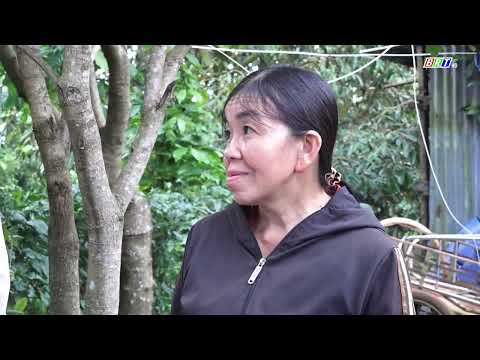 tuoi-tre-phuong-buon-ho-hang-hai-viet-don-tinh-nguyen-nhap-ngu