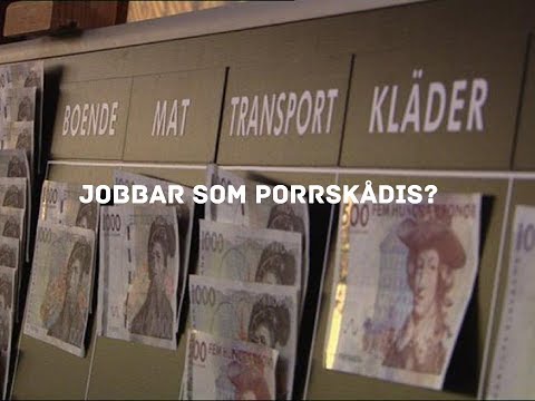 SJUKA HÄNDELSER FRÅN LYXFÄLLAN