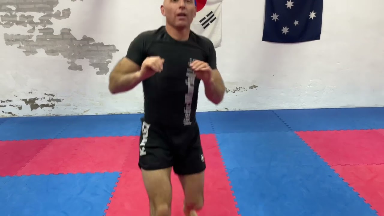 Elevating the humble Cat Roll!