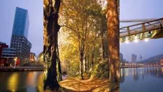 NACH DONDE DESCANSA LA ESPERANZA (LETRA)