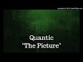 Quantic - The Picture Inside