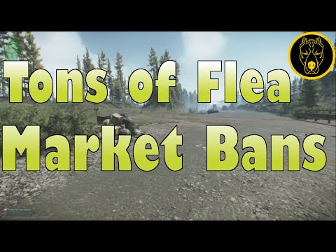 BSG Banned a TON of Items Since 12/12 - Escape From Tarkov News
