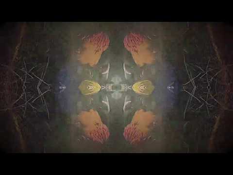 $LADE - Stuck In Luv (official video)