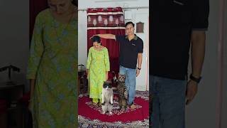 Download lagu Dancing Cats viral dance with Indian couple! 🐾#viralvideo #trendingshorts #hrkundan mp3