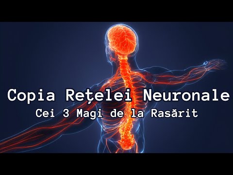 101-RO | telepat Mary | Copia Retelei Neuronale - Hipnoza Regresiva - Iuliana Vlăsceanu